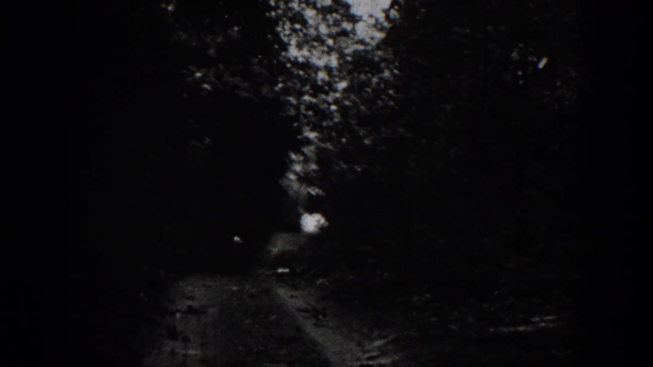 1939 Chelan-area 8mm frame showing a shadowed dirt path through dense trees, with strong grain and darkened frame edges.