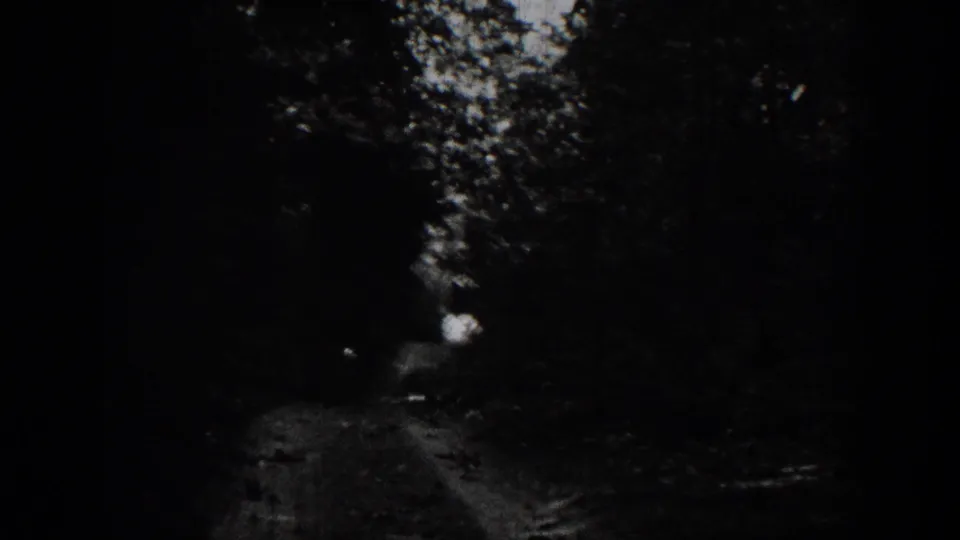 1939 Chelan-area 8mm frame showing a shadowed dirt path through dense trees, with strong grain and darkened frame edges.