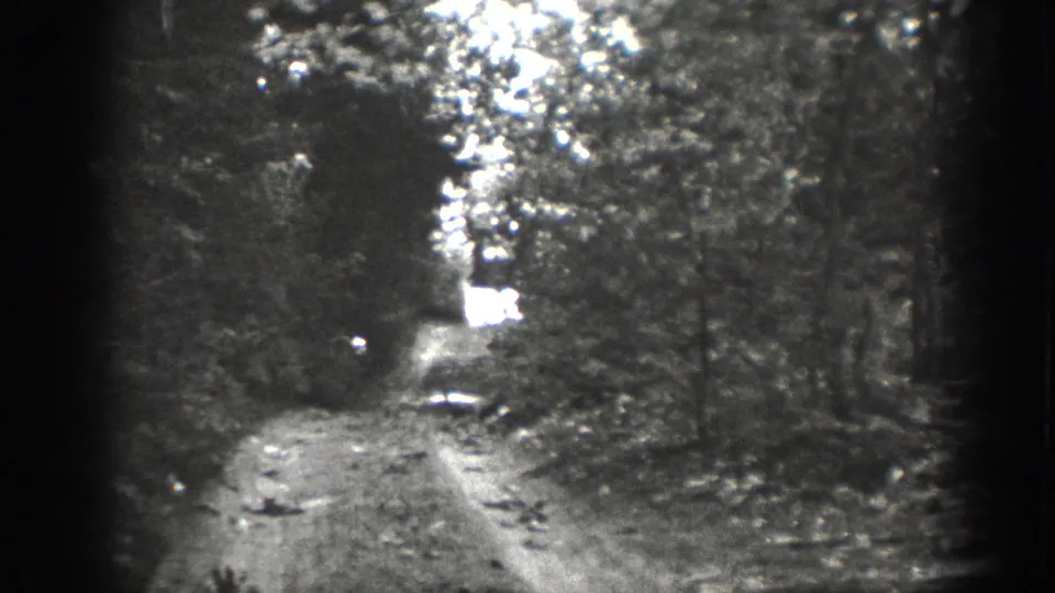 Grainy 1939 Chelan-area frame looking along a wooded dirt track toward a bright opening beyond the trees.