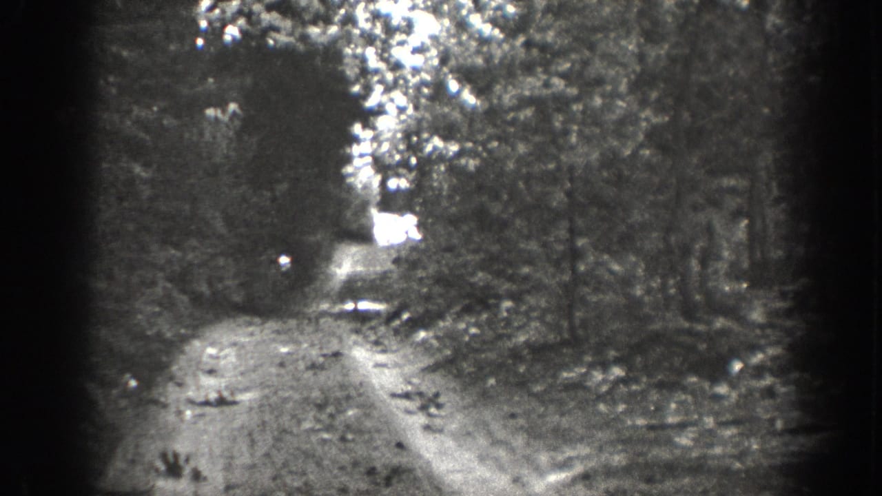 Black-and-white 8mm frame from Chelan showing a rough trail bordered by trees, with blown highlights in the canopy.