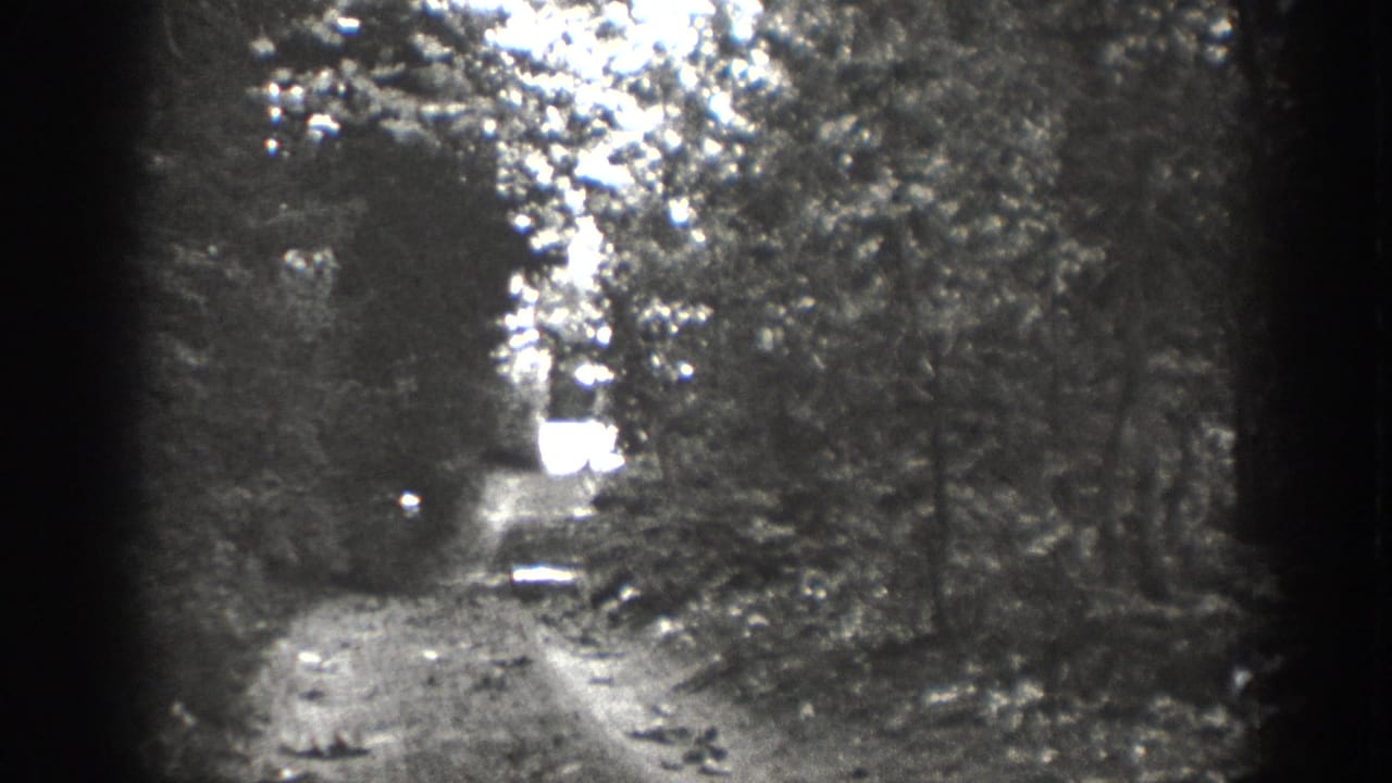 Final Chelan-area 8mm frame showing the trail framed by dark trees, with a bright possible clearing or water surface beyond.