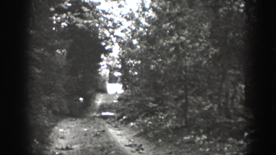 Final Chelan-area 8mm frame showing the trail framed by dark trees, with a bright possible clearing or water surface beyond.