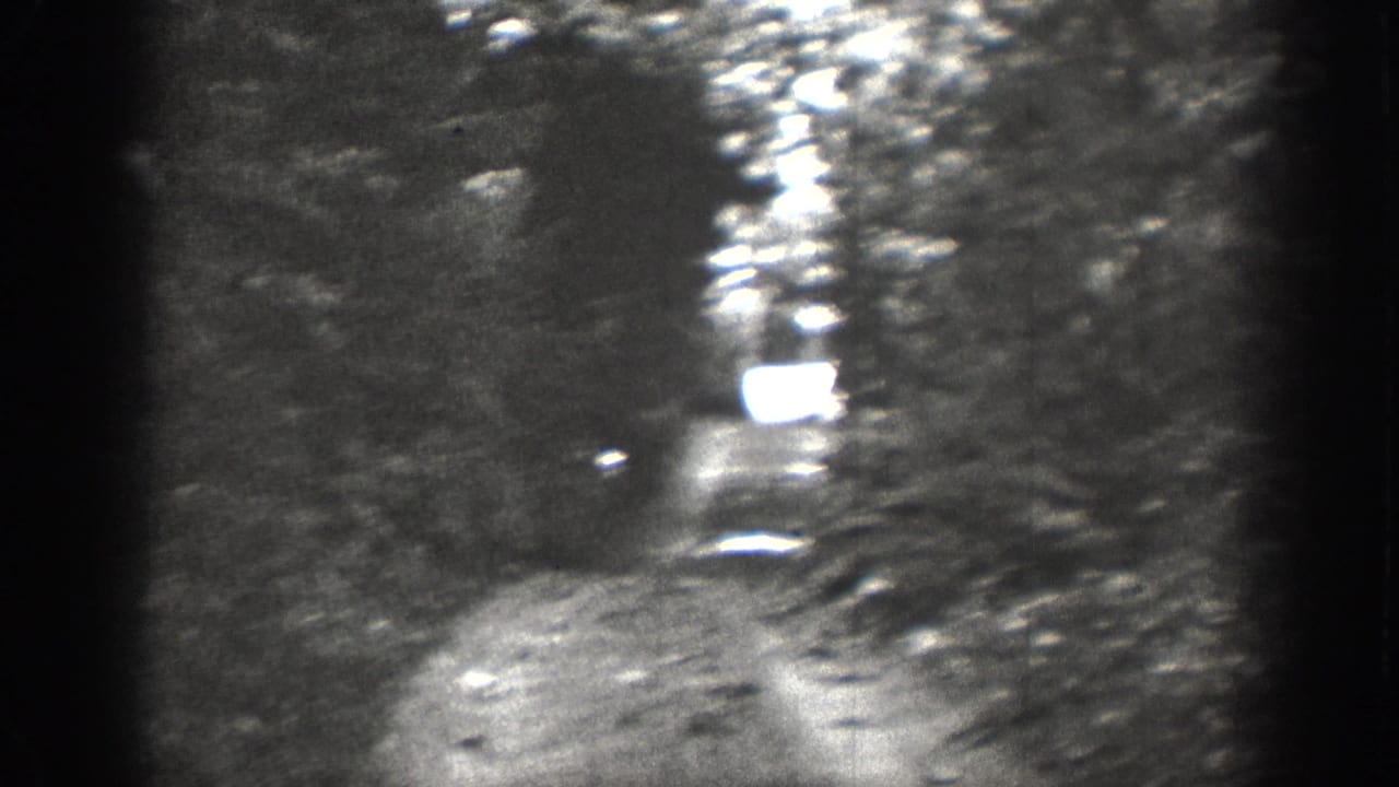 1939 Chelan, Washington 8mm frame showing a wooded dirt path in soft focus with bright reflected light and dark film edges.