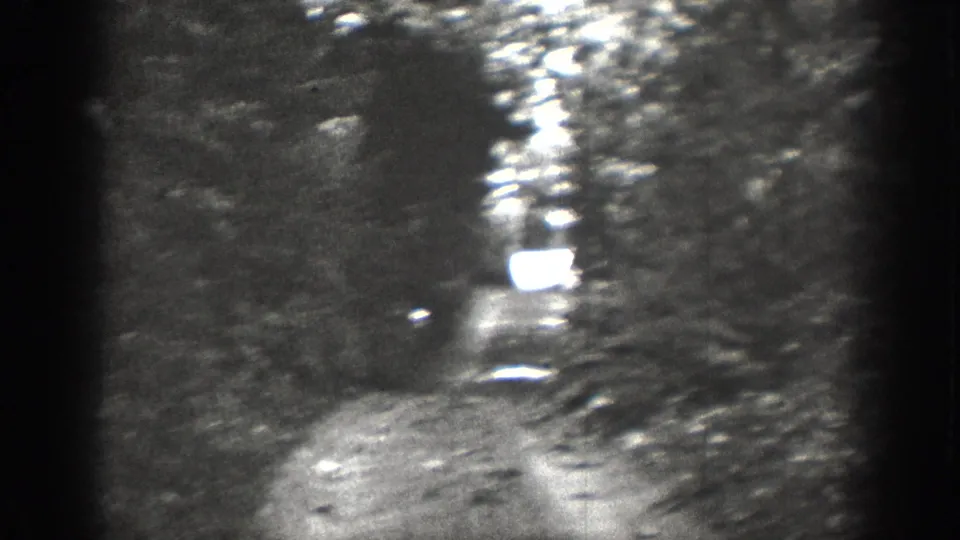 1939 Chelan, Washington 8mm frame showing a wooded dirt path in soft focus with bright reflected light and dark film edges.