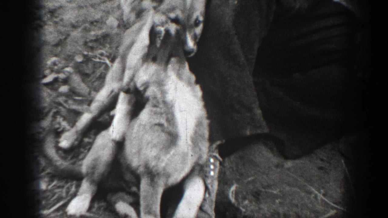 A dog sits upright beside an adult man in dark trousers, with another dog partly visible in soft black-and-white 8mm footage.