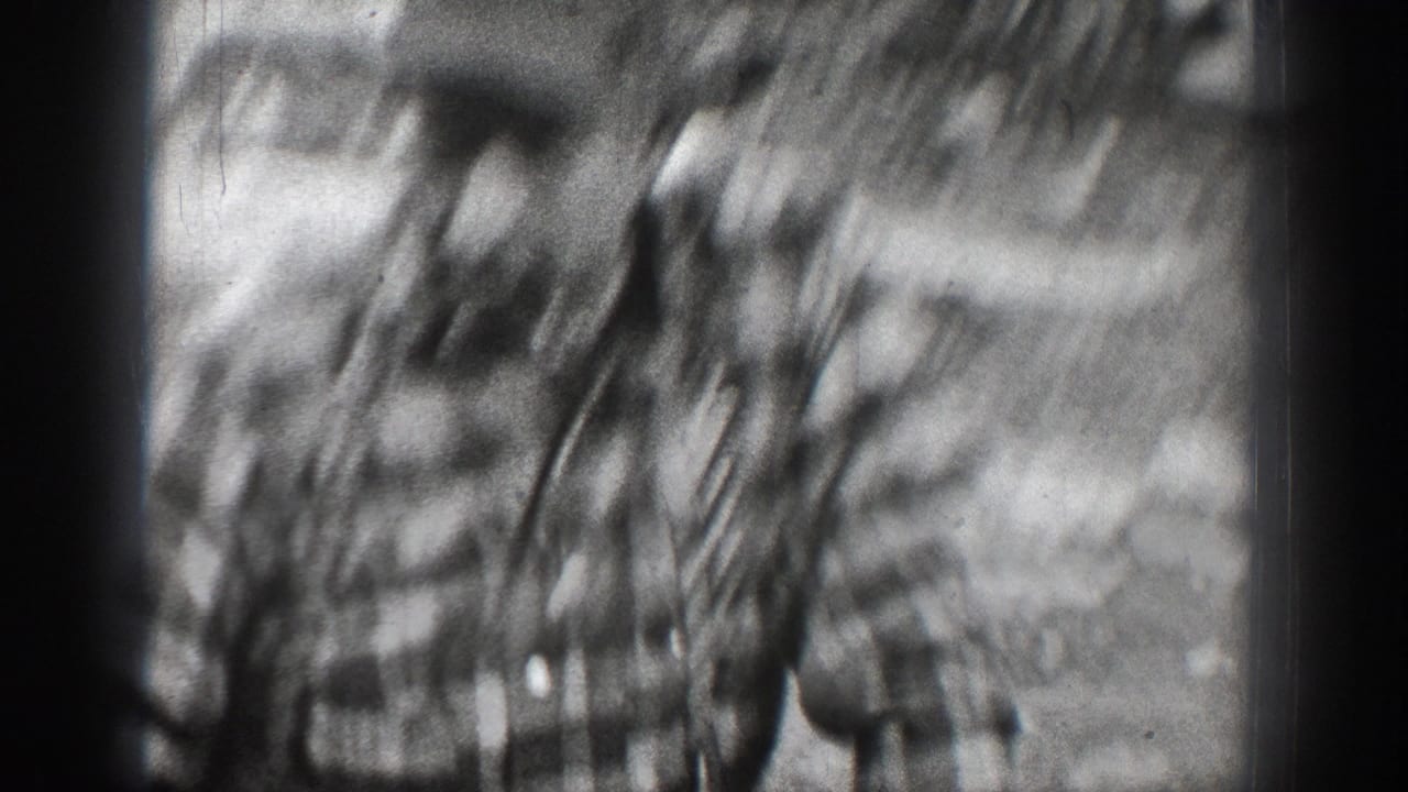 Soft, motion-blurred 1939 Chelan frame showing a plaid-shirted adult man close to dogs in a rural outdoor setting.