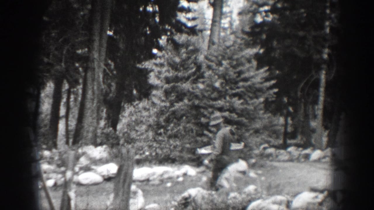 Man in a hat walking near trees, rocks, and low vegetation.