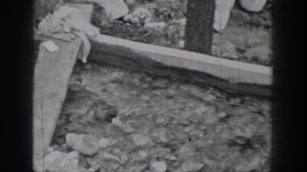 Chelan shoreline detail from 1939 8mm footage, showing rocks, a wooden plank, and water near the edge.