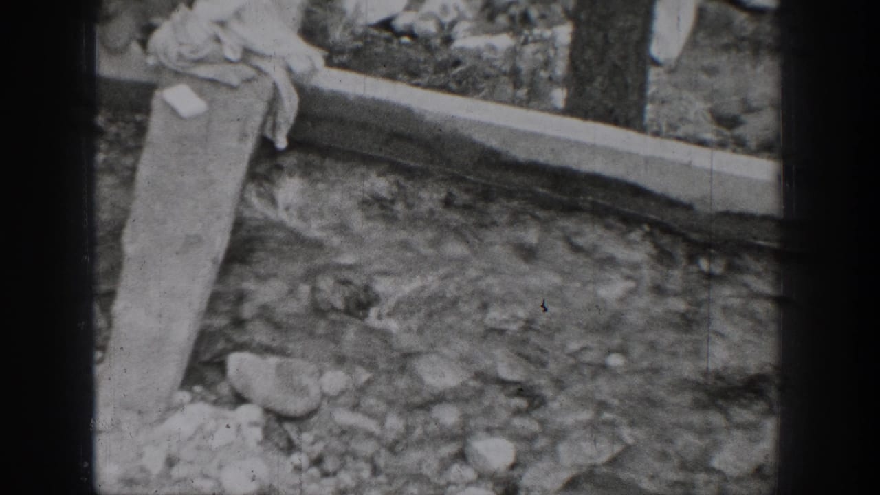 1939 Chelan lakeside detail showing stones, shallow water, and a wooden plank in grainy black-and-white 8mm.