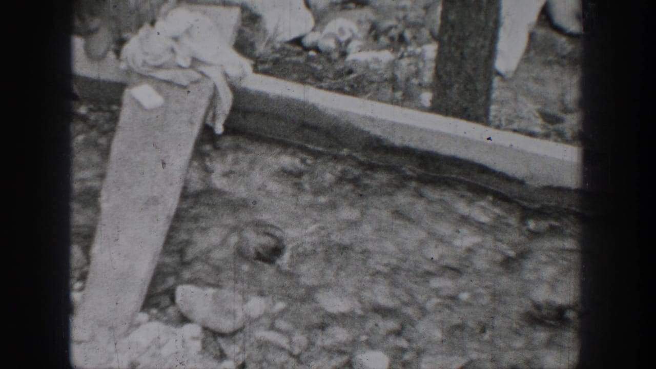 Rocky stream and slanted board with cloth near the bank.