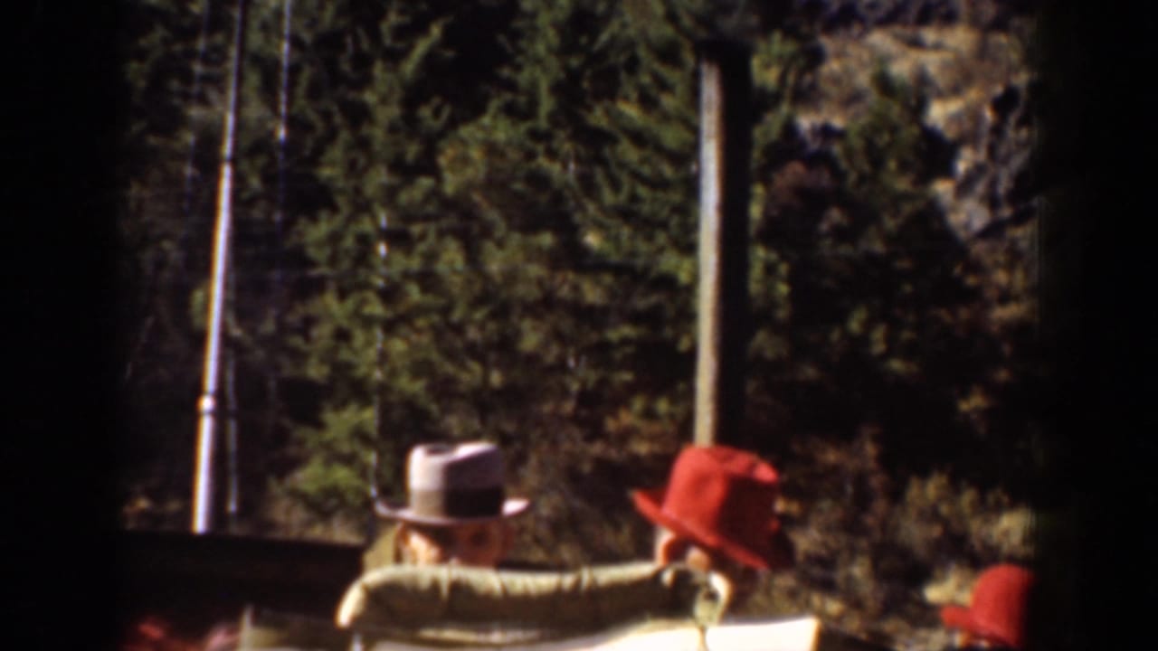 Boat passengers in hats sit near a forested shoreline under bright sunlight.
