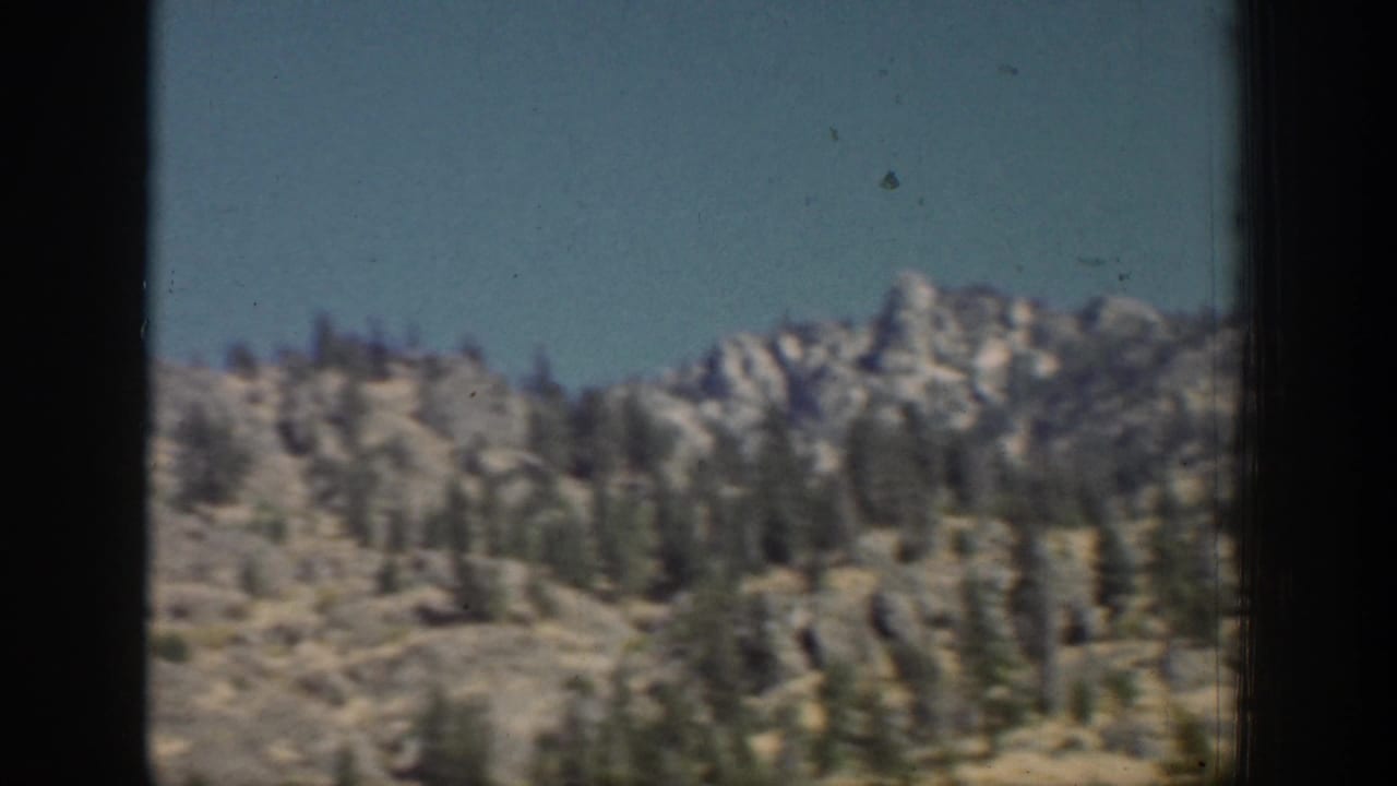 Mountain slope and evergreens under blue sky, divided by a dark central frame.