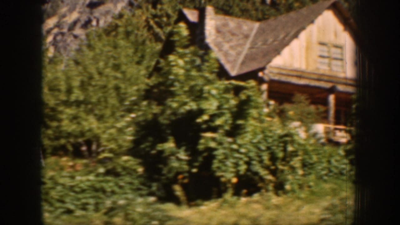 Cabin porch and steep roof partly obscured by leafy trees.