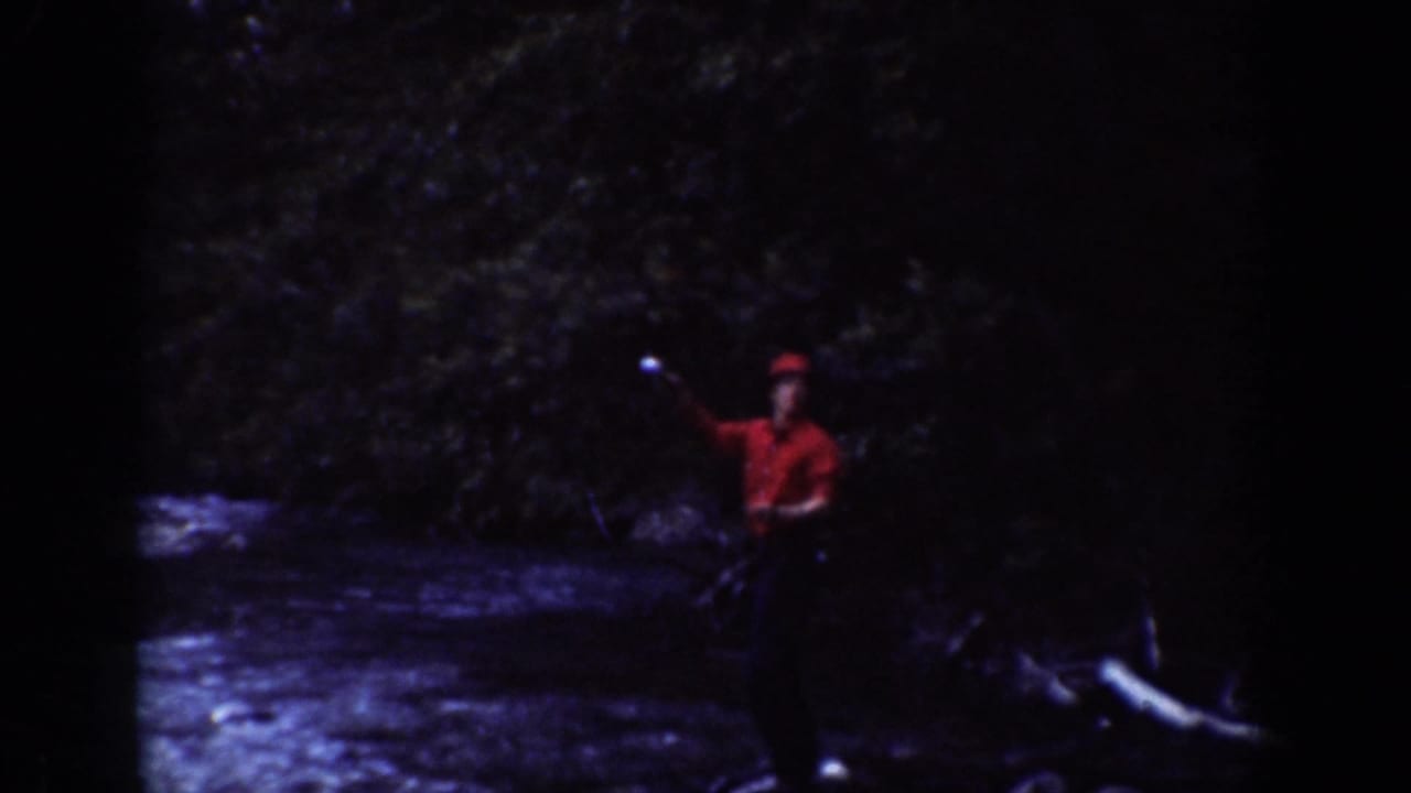 Man in a red shirt stands beside a river under dark trees.