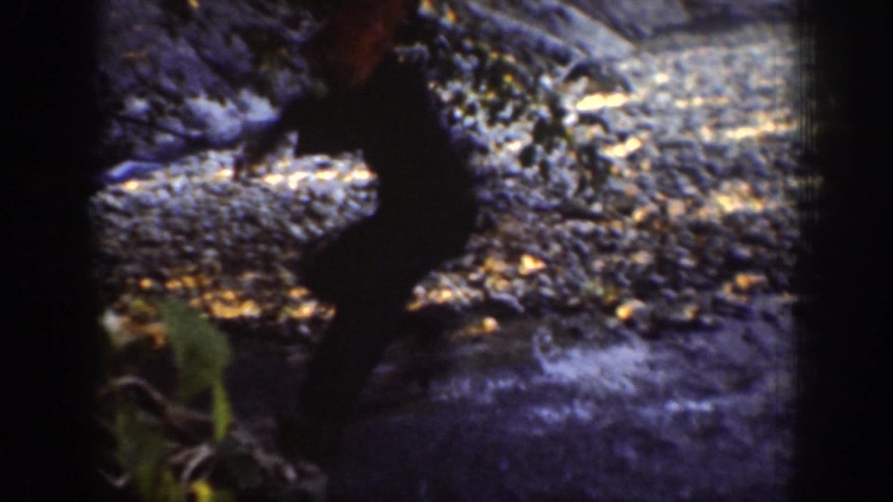 Dark silhouetted figure stepping near shallow water and river stones.