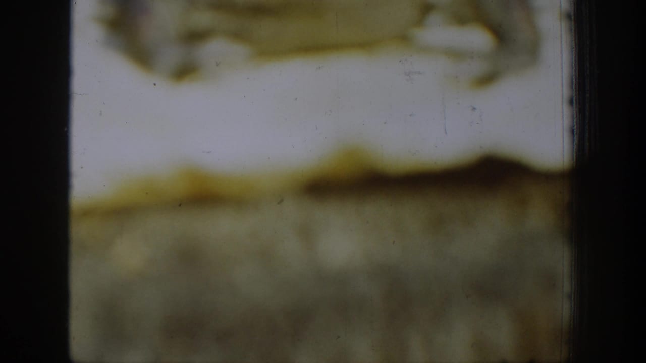 Damaged 8mm home-movie frame from the Chelan, Washington clip, showing blurred pale areas and dark film borders before the forest scene resolves.