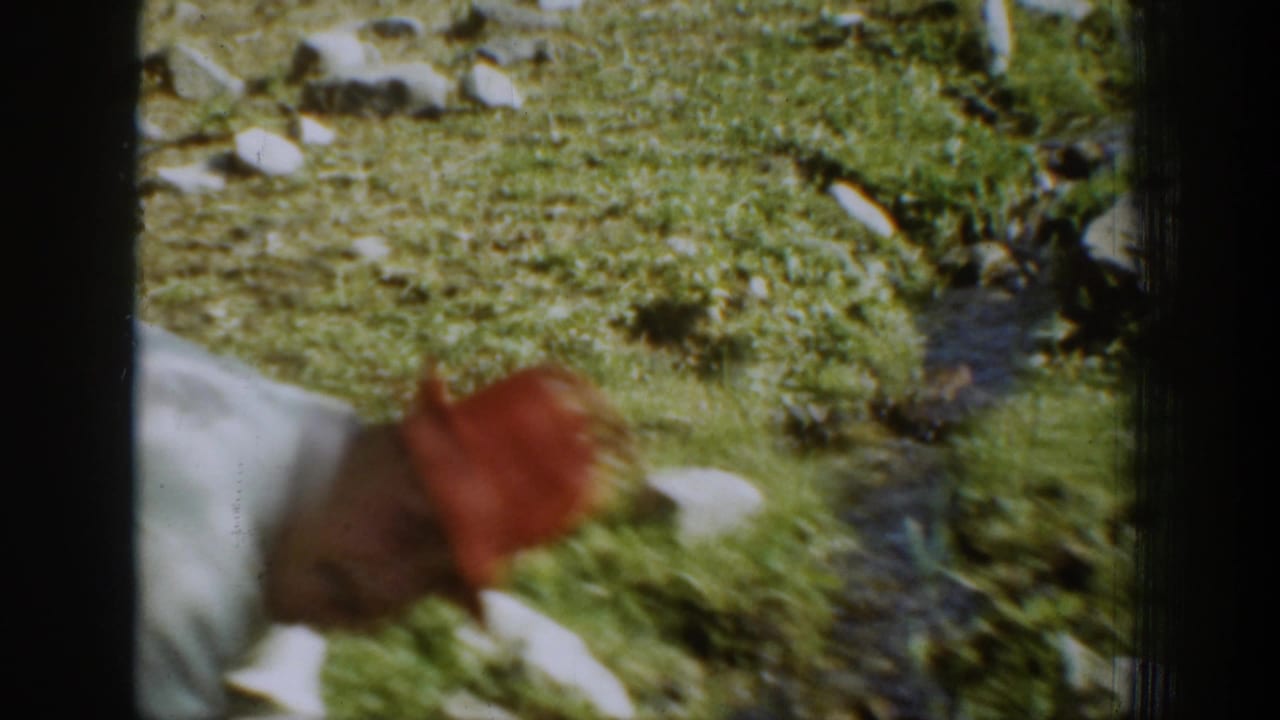 Man in a red hat remains bent near a stream with grass and stones around him.