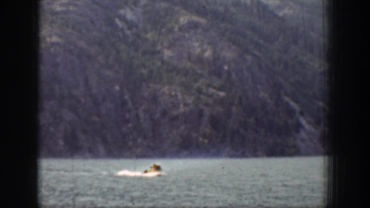 Chelan lake swimming scene from 1939, with the swimmer low in frame and a muted mountain slope filling the background.