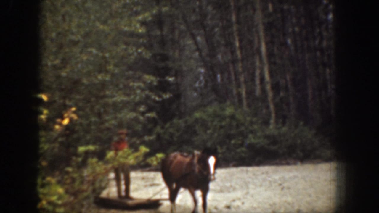 A man in red stands near a horse on a dirt road bordered by dense trees and brush in the Chelan home-movie footage.