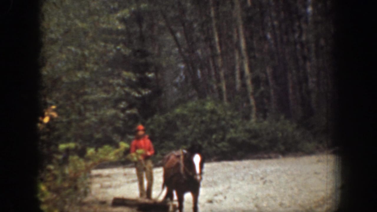 A man in red leads or stands beside a horse on a light dirt road, with tall trees and brush behind them in the 1939 Chelan footage.