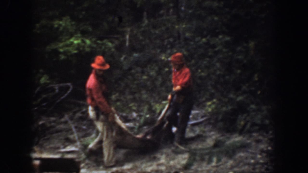A horse and low sled carrying a likely deer appear between two men in red shirts in 1939 Chelan, Washington woodland footage.
