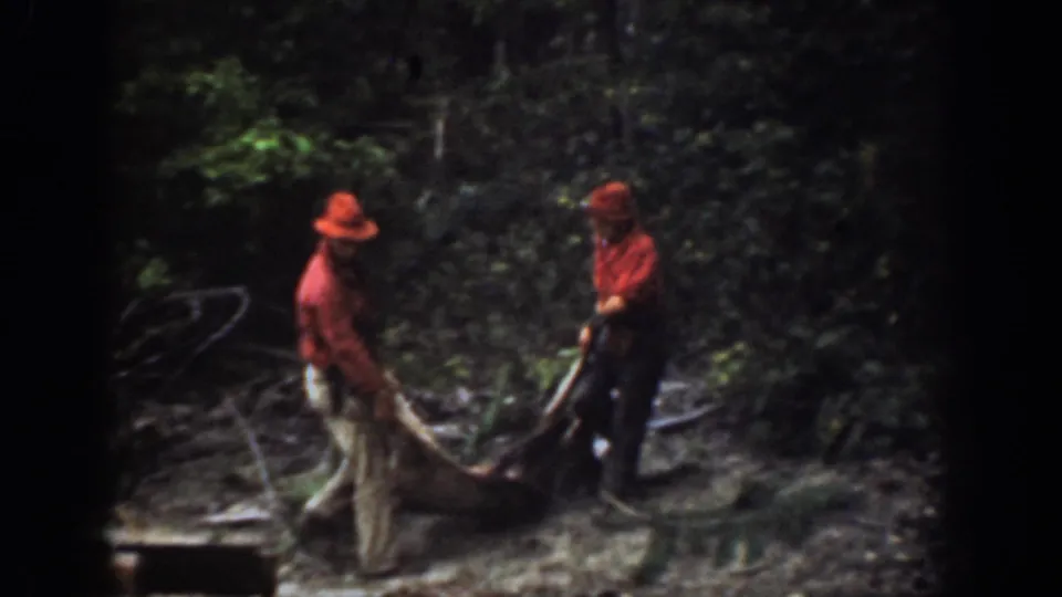 A horse and low sled carrying a likely deer appear between two men in red shirts in 1939 Chelan, Washington woodland footage.