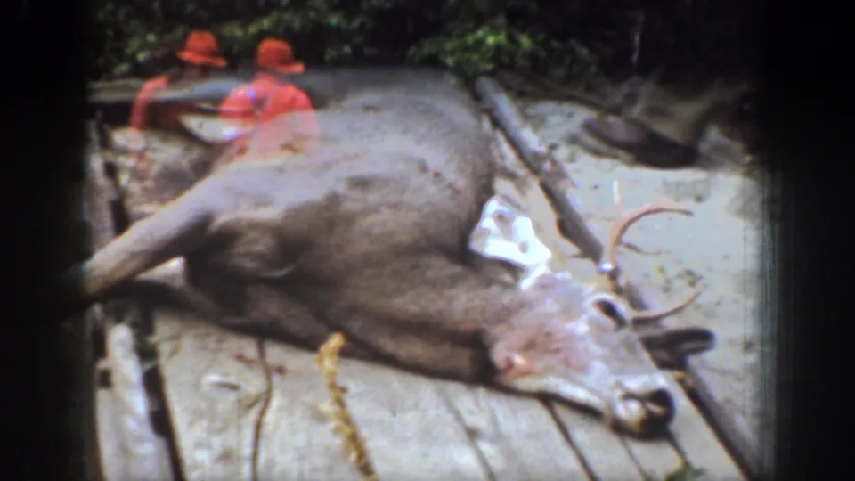 1939 Chelan, Washington home-movie frame showing a harvested antlered deer on a wooden sled with two hunters in red hats nearby.