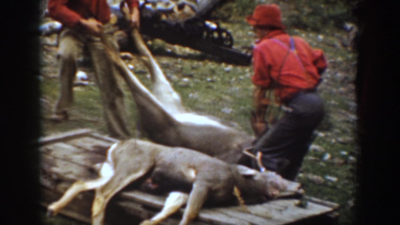 Two hunters in red shirts and hats appear to lift or arrange a harvested deer beside a wooden sled in 1939 Chelan, Washington footage.