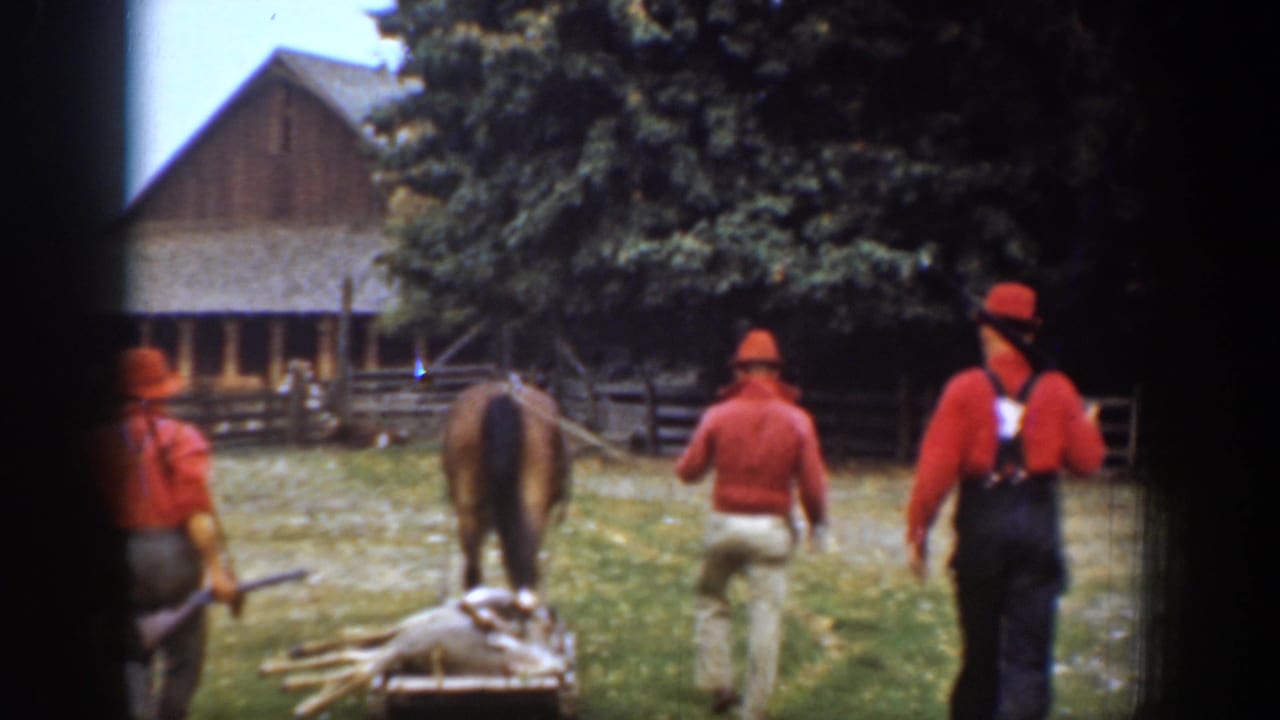 Three men in red outdoor clothing follow a horse pulling a sled with a deer.
