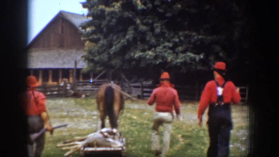Three hunters in red clothing walk across a Chelan farmyard as a horse pulls a sled carrying a harvested deer.