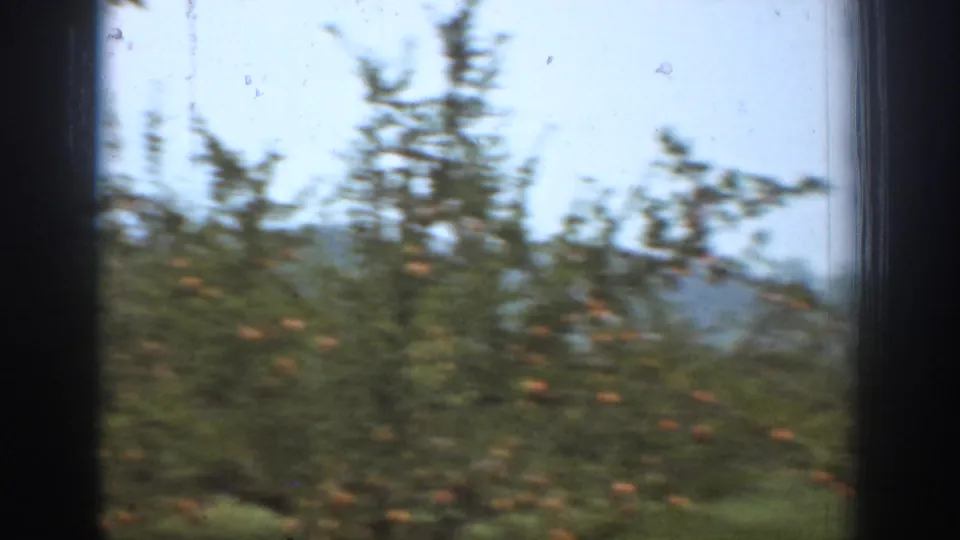 A soft 8mm view of orchard trees and distant hills appears after the farmyard hunting scene in Chelan.