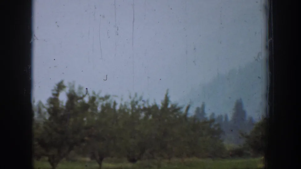 A Chelan orchard landscape shows rows of trees, hazy hills, and visible 8mm film marks at the end of the clip.