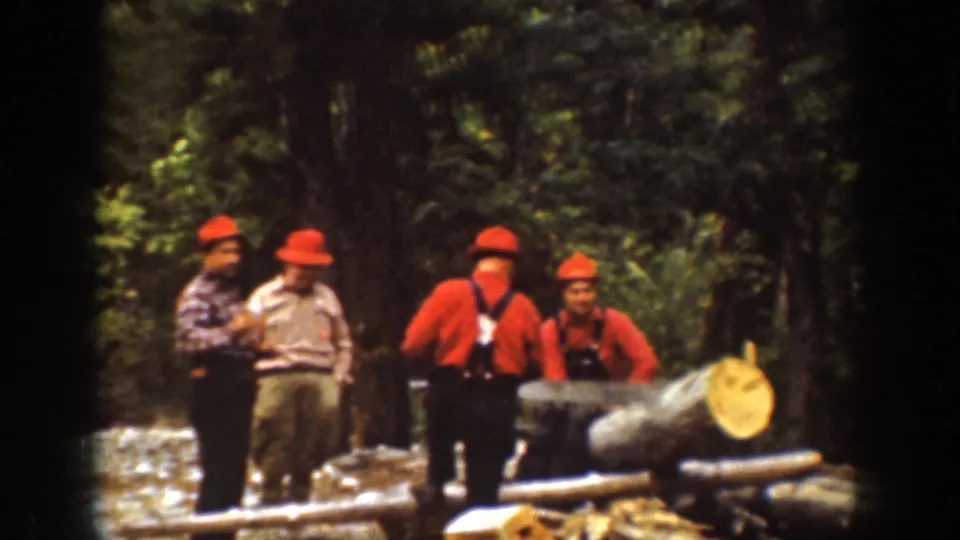 Men in red hats stand beside cut timber and a sawed trunk end in the Chelan, Washington forest setting.