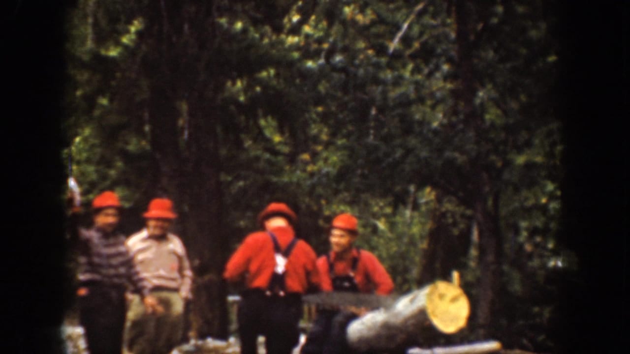 Four men in red hats stand in a forest beside a large felled log.