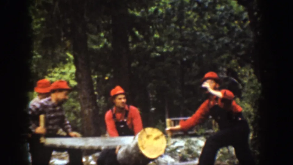 Chelan, Washington 1939 frame of men in red hats by a forest log, with the saw stretched across it and one man leaning back to drink.