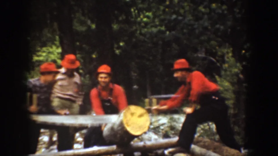 Chelan home-movie frame showing men in red hats beside a cut log and long saw, with one man leaning forward at the right.