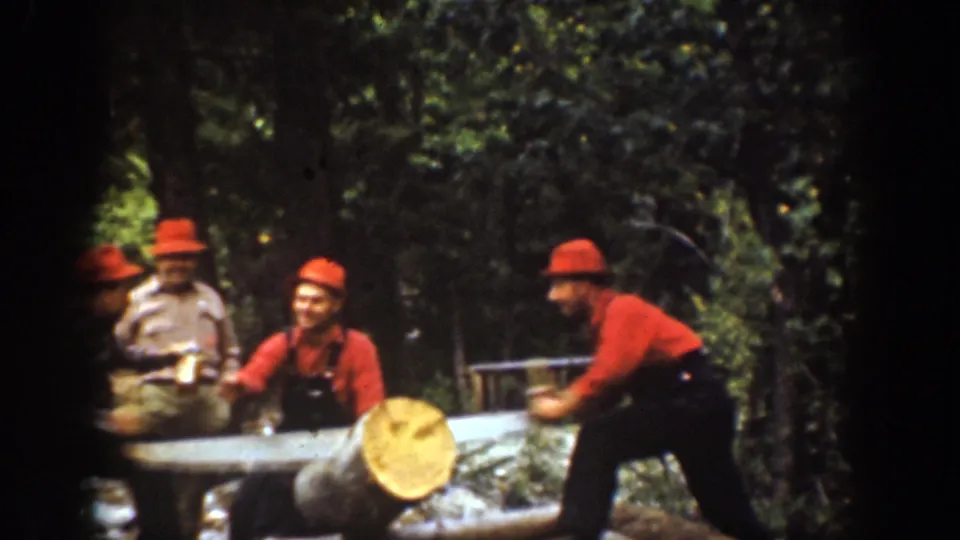1939 Chelan, Washington home-movie frame showing four adult men in red hats around a large log in the forest as one prepares to saw.