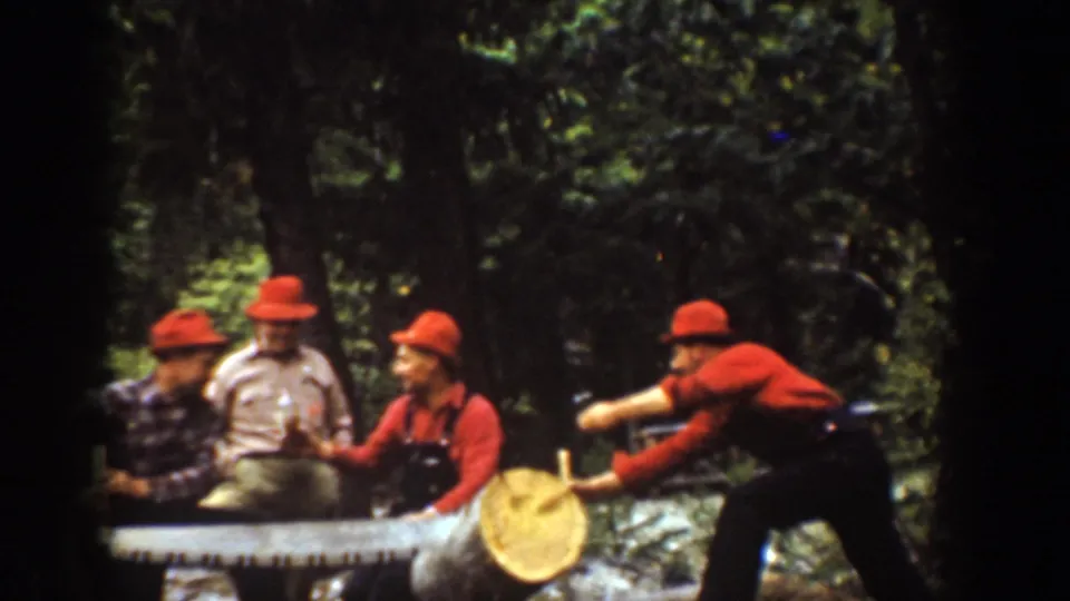 1939 Chelan, Washington frame of four adult men grouped around a large log in dense woods during a sawing sequence.