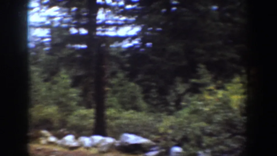 1939 Chelan-area home-movie frame showing dense evergreen woods and pale roadside rocks in soft, grainy 8mm color.
