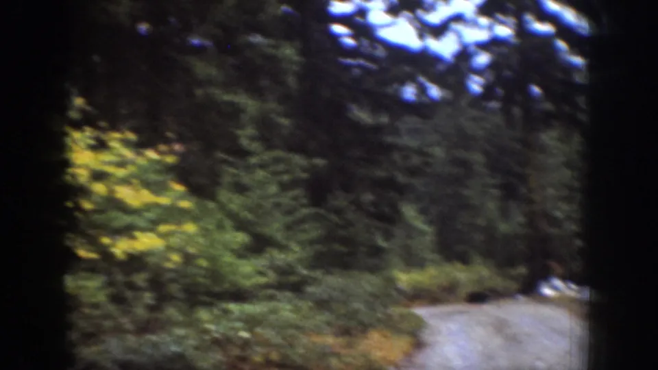 Chelan, Washington 8mm frame showing a curving dirt or gravel road through forest with rocks and yellow-green foliage at the roadside.