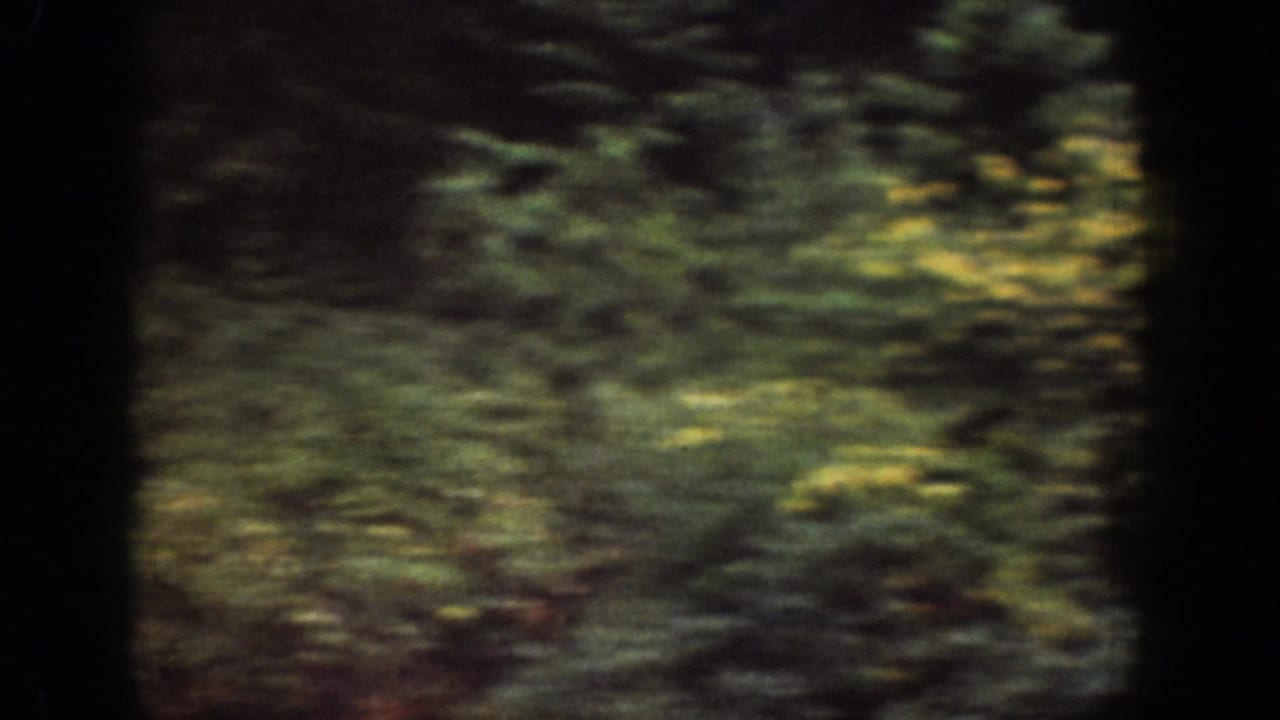 Motion-blurred forest view from 1939 8mm travel footage in the Chelan, Washington sequence.