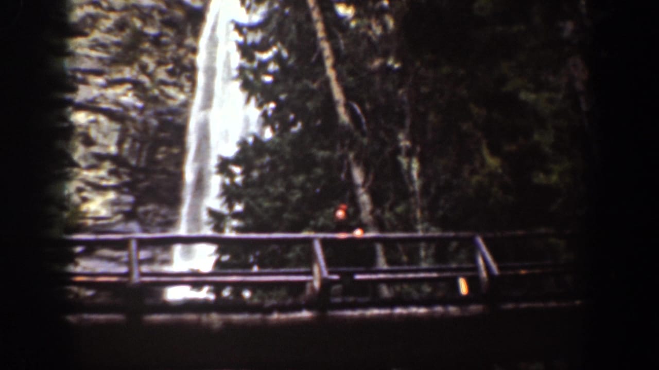 Waterfall and wooden railing framed by trees and dark film edges.