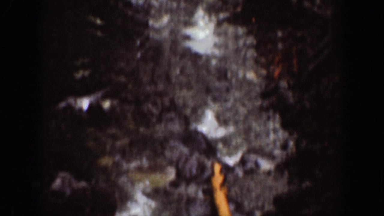 1939 Chelan, Washington 8mm frame showing a darker lower view of wet rocks, falling water, and shadowed gorge terrain.