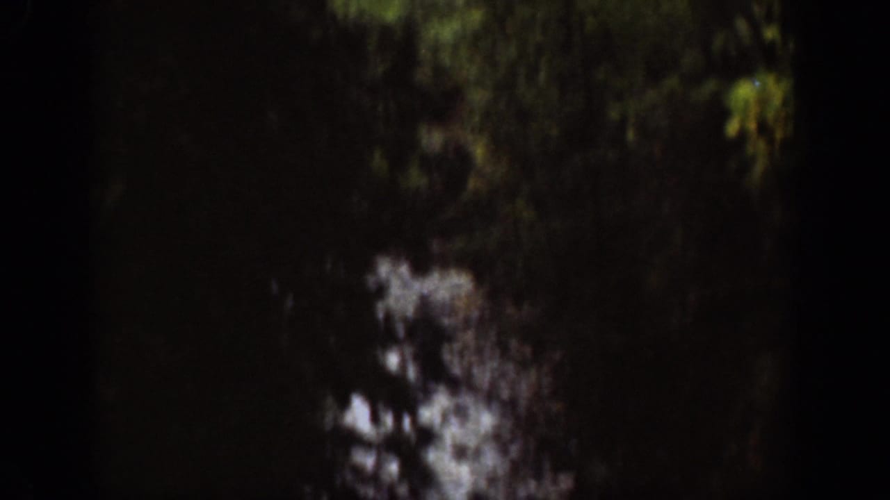 1939 Chelan, Washington 8mm frame of a shadowed gorge area with dark foliage and pale water or wet stone near the center.