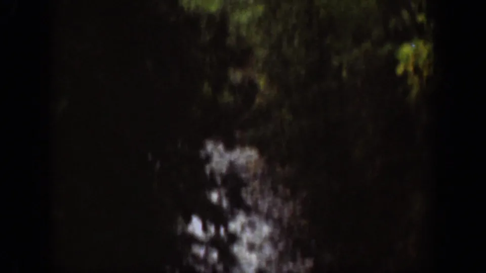 1939 Chelan, Washington 8mm frame of a shadowed gorge area with dark foliage and pale water or wet stone near the center.