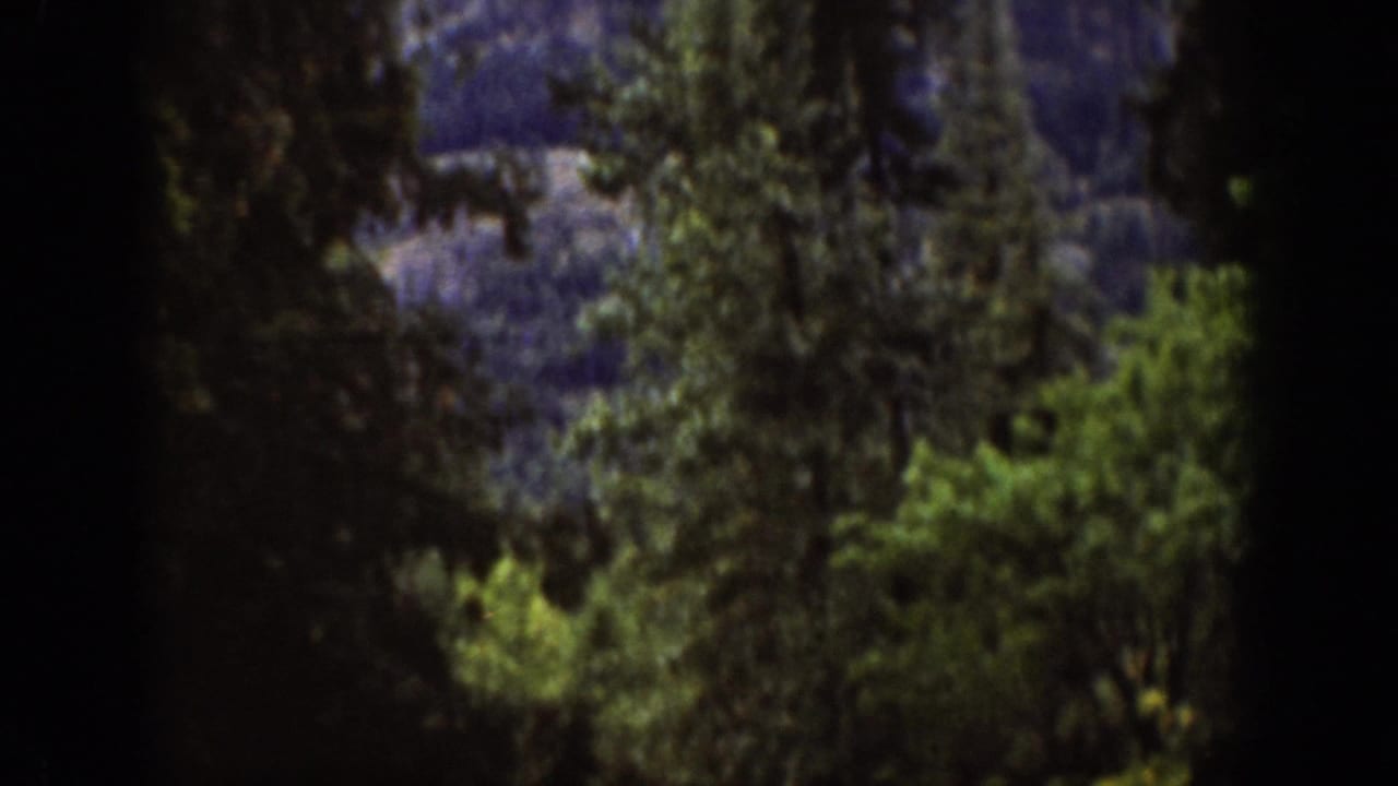 Dark evergreen forest framing a distant misty mountain ridge.