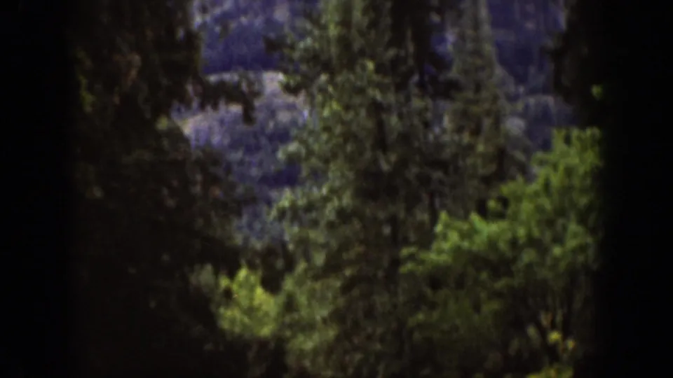 1939 Chelan, Washington 8mm frame with shadowed evergreens in front of a pale, misty mountain landscape.