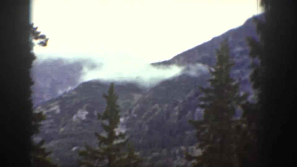 Chelan, Washington home-movie view of tall conifers and a clouded mountain slope, dated 1939 by clip metadata.