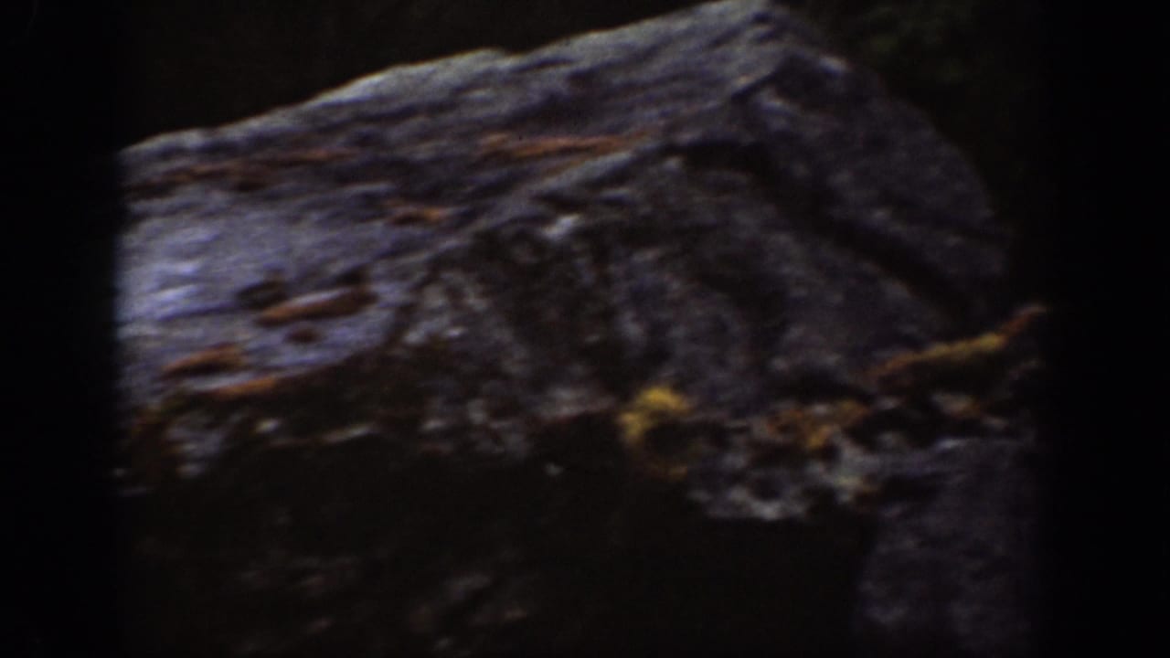 Large dark rock surface with rough texture and shadowed edges.