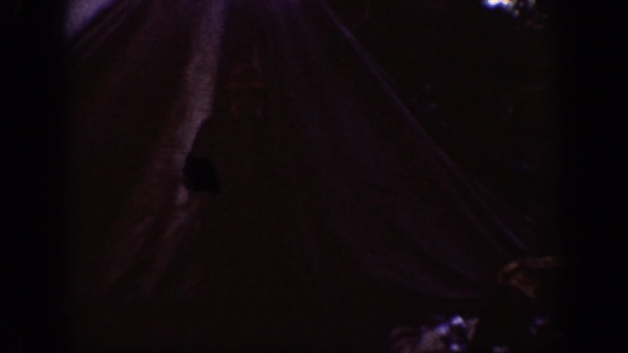 Very dark view of a tent form among trees, with little detail visible.